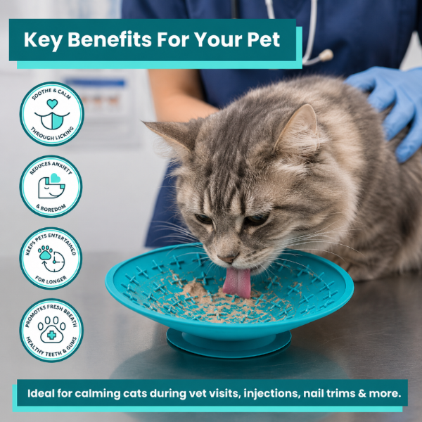 Why Choose a LickiMat for Cats?