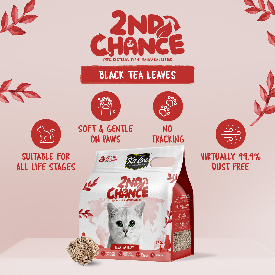 Kit Cat 2nd Chance Cat Litter 2.5kg