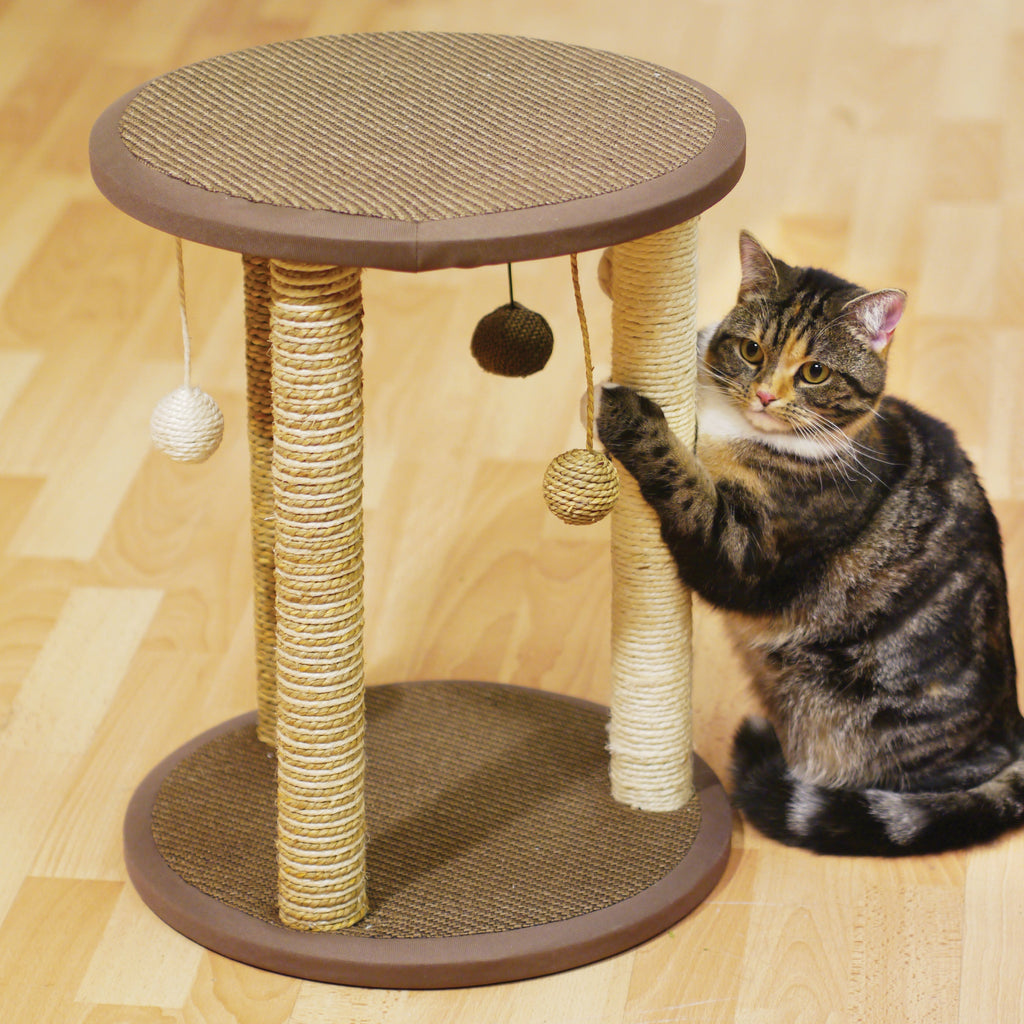Rosewood Zurich Cat Scratcher