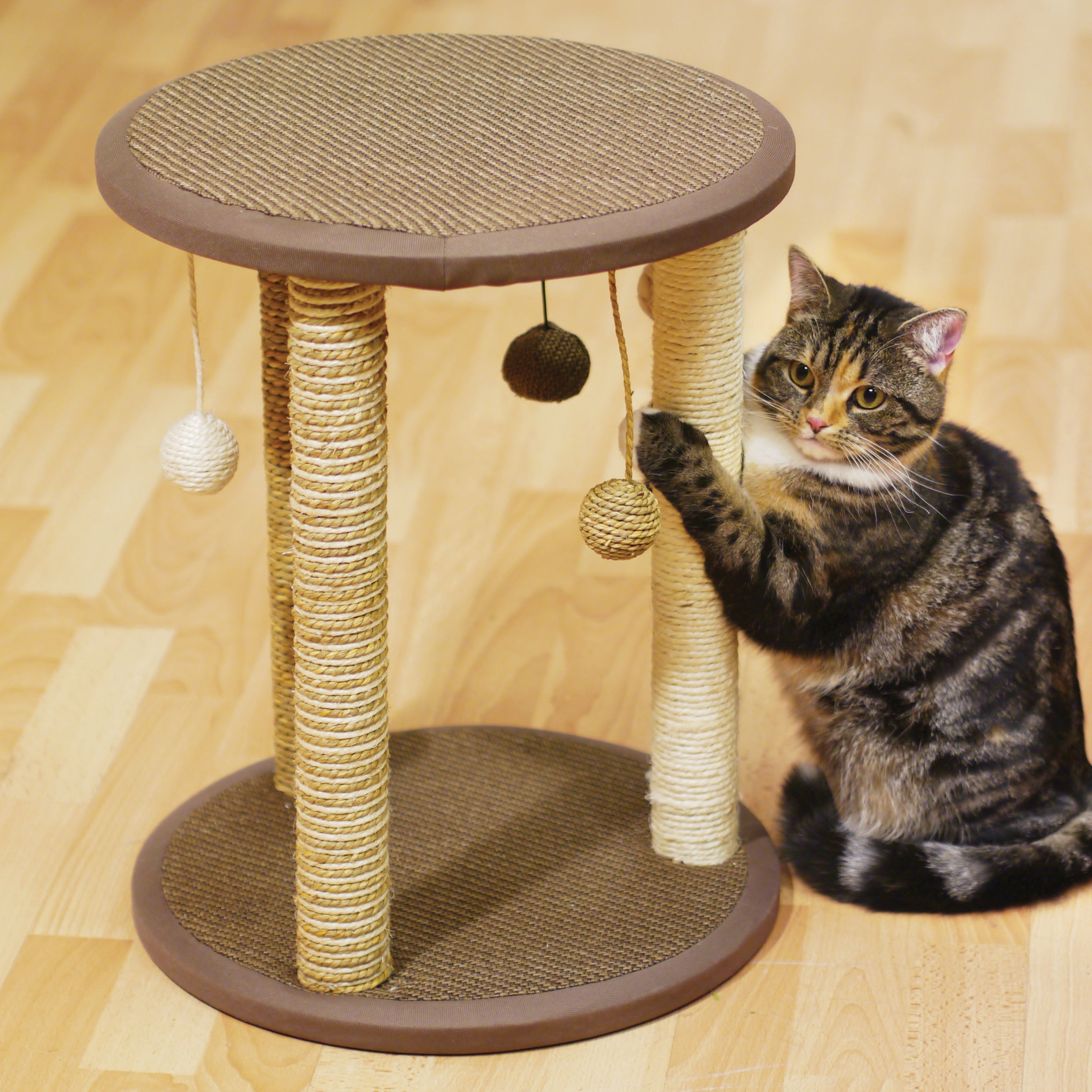 Rosewood Zurich Cat Scratcher