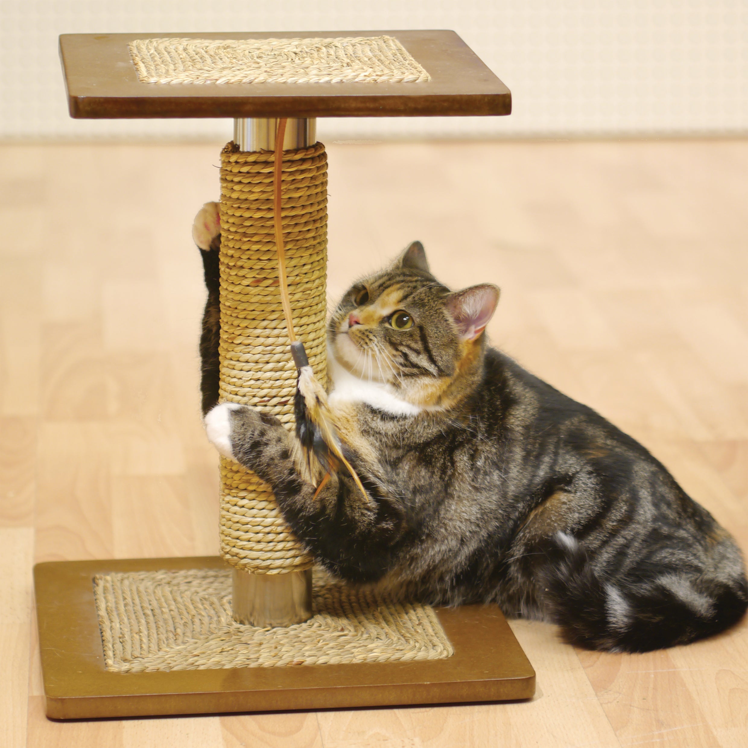 Rosewood Oregano Cat Scratcher
