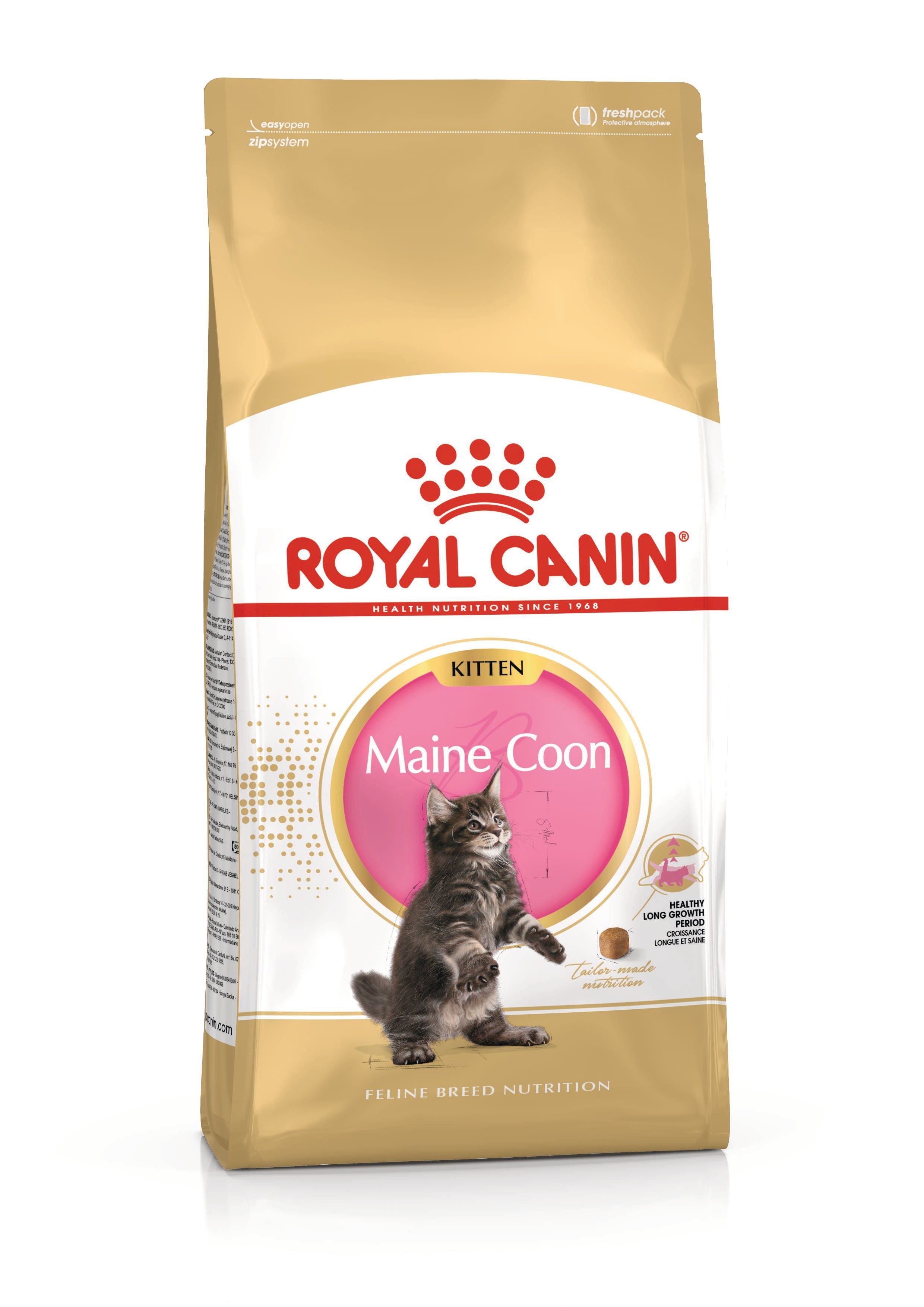 Royal Canin Maine Coon Kitten Dry Cat Food