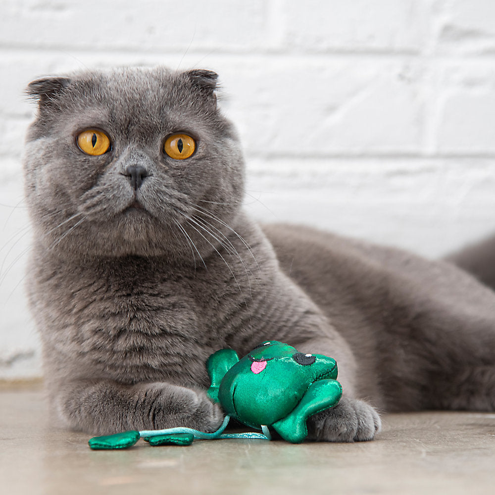 Catstages Toss 'n Dangle Frog