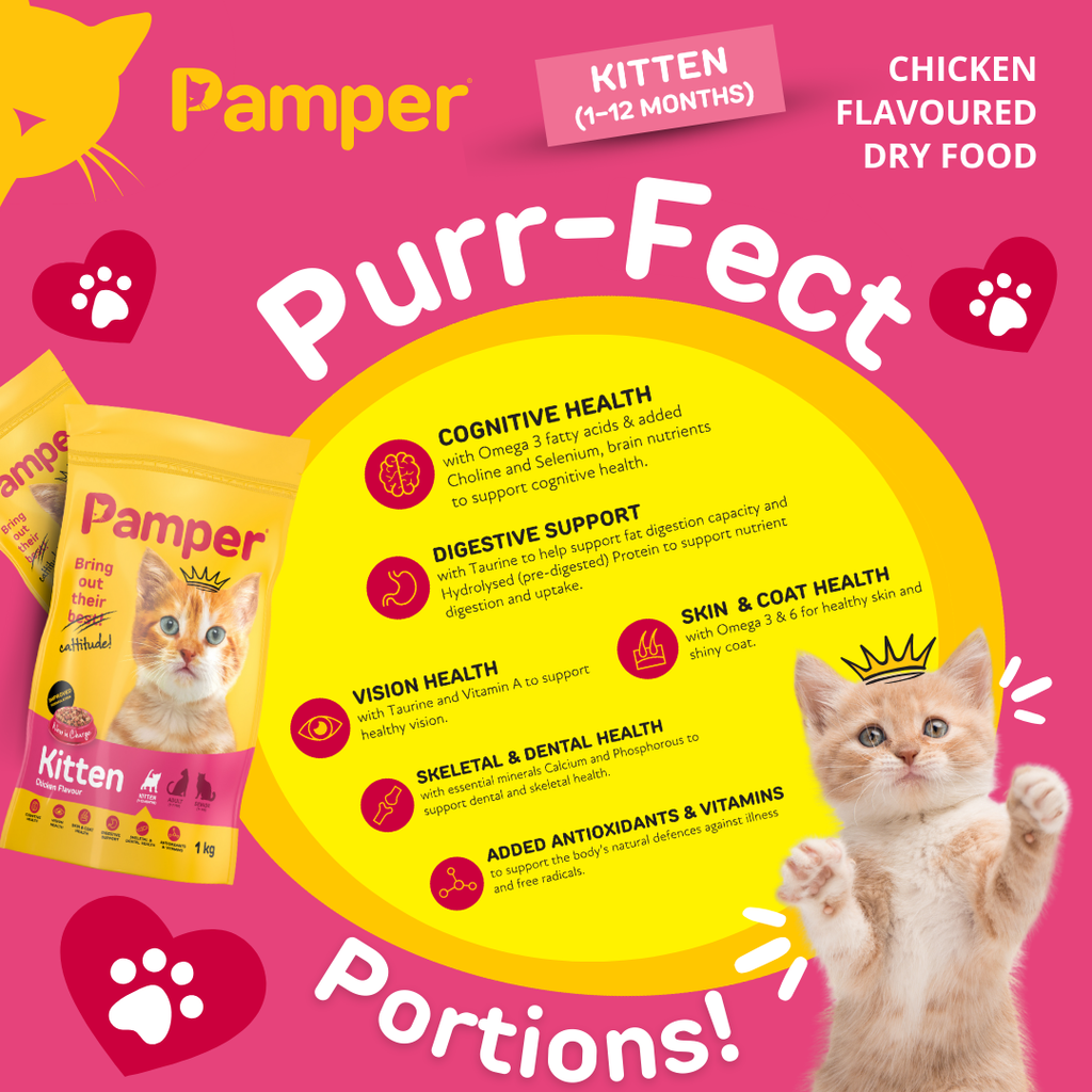 Pamper Kitten Dry Food 1kg pack detail