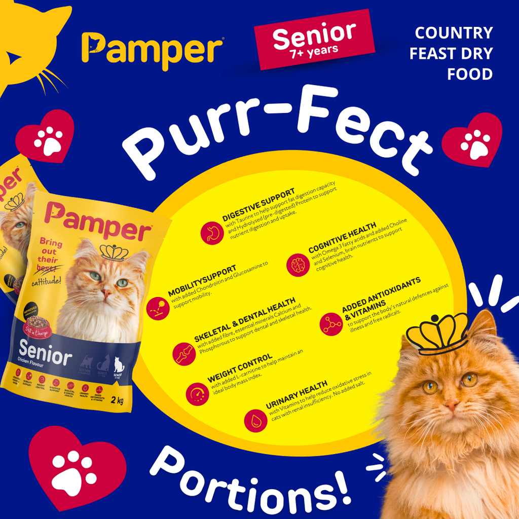 Pamper Senior Dry Food 2kg pack detail