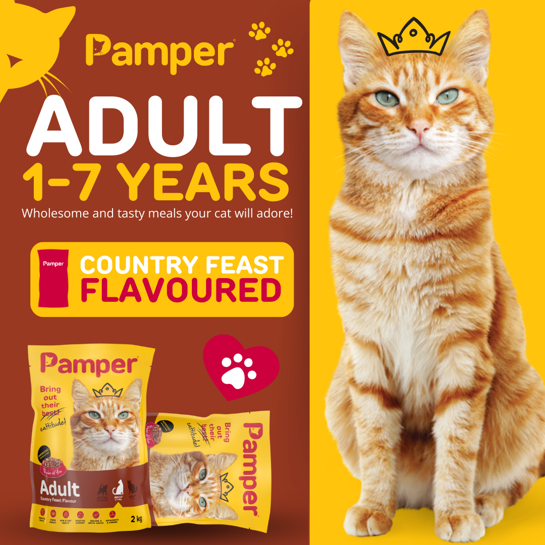 Pamper Country Feast Dry Cat Food 2kg pack detail
