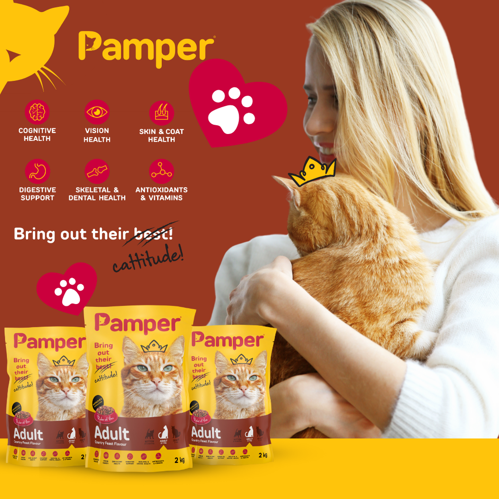 Pamper Country Feast Dry Cat Food 2kg pack detail