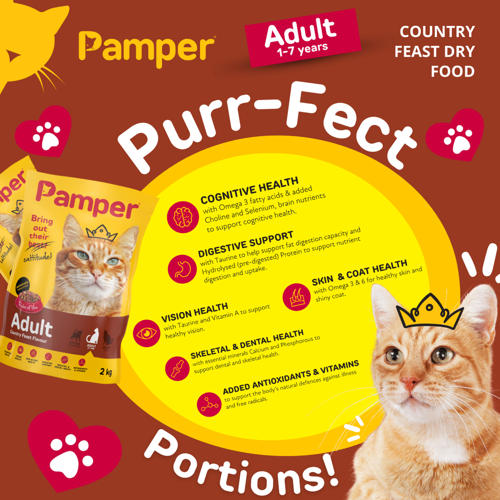 Pamper Country Feast Dry Cat Food 2kg pack detail