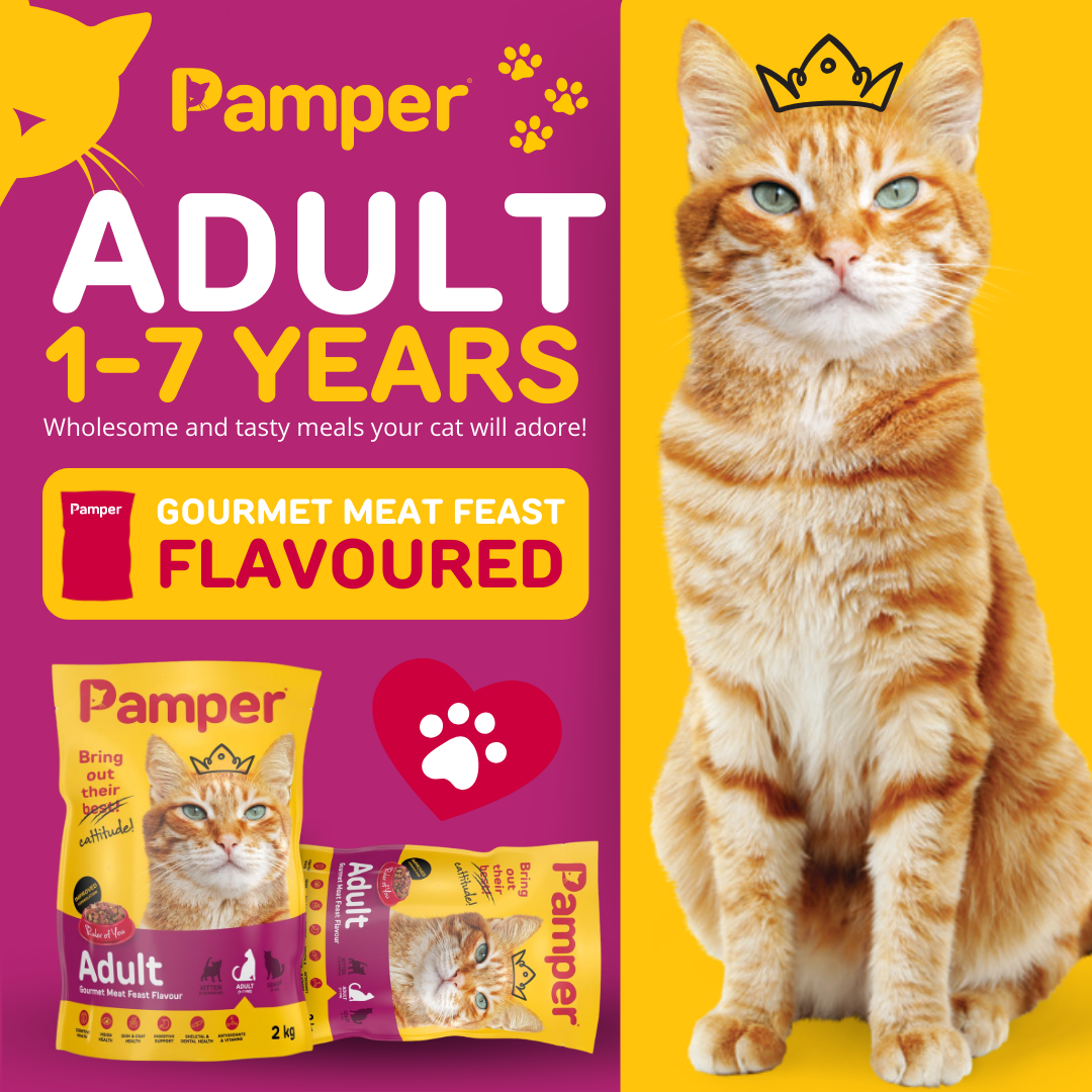 Pamper Gourmet Meat Feast Dry Cat Food 2kg pack detail
