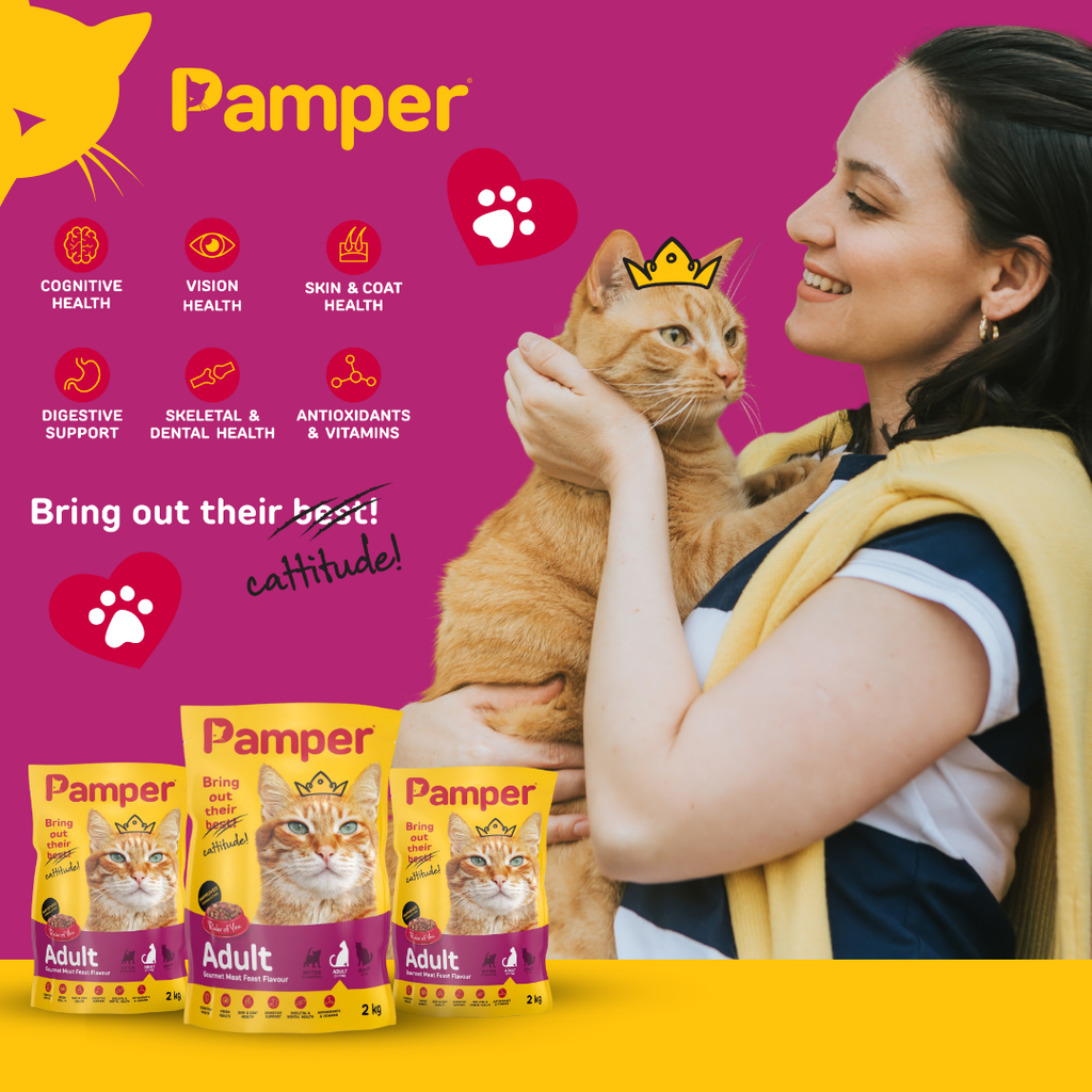 Pamper Gourmet Meat Feast Dry Cat Food 2kg pack detail