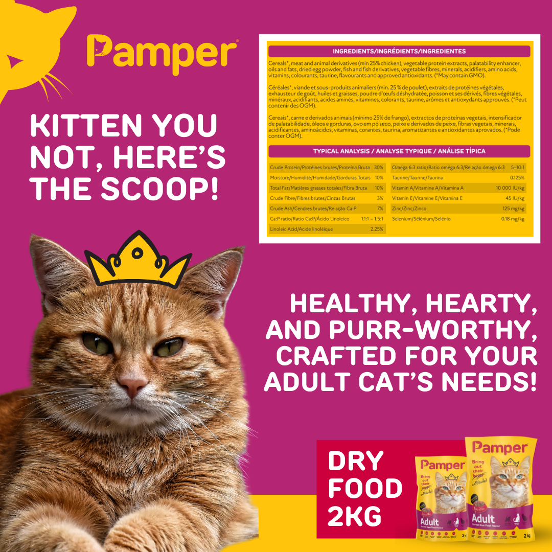 Pamper Gourmet Meat Feast Dry Cat Food 2kg pack detail