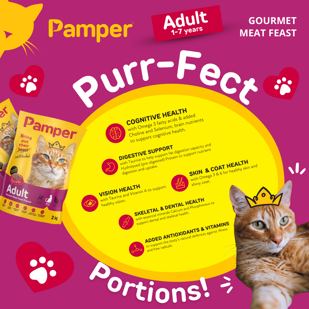 Pamper Gourmet Meat Feast Dry Cat Food 2kg pack detail