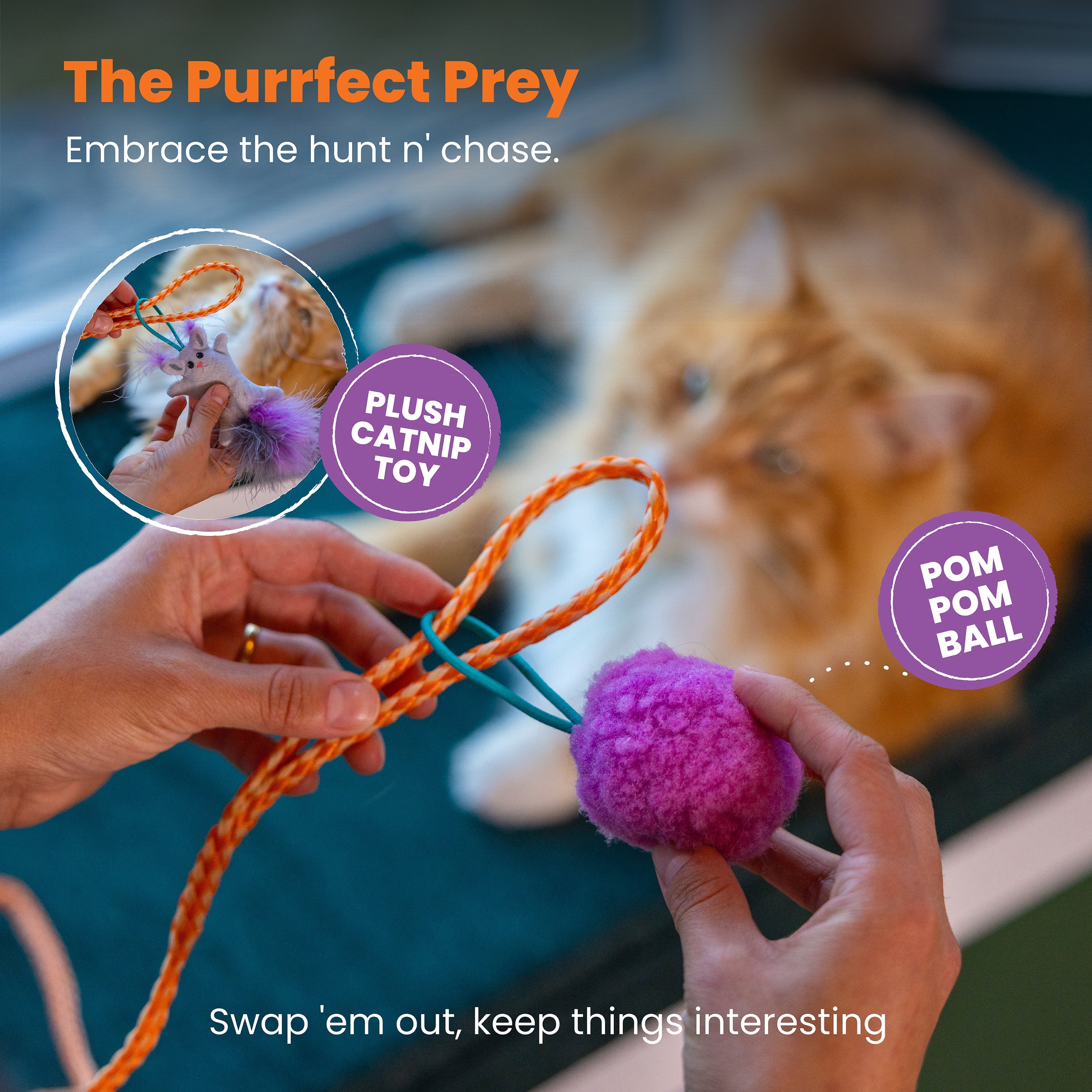 Catstages Cat-Apult Spring Wand
