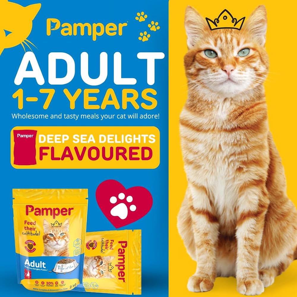 Pamper Deep Sea Delights Dry Cat Food