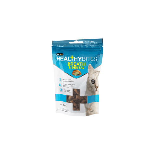 Healthy Bites Breath & Dental Cat Treats 65g