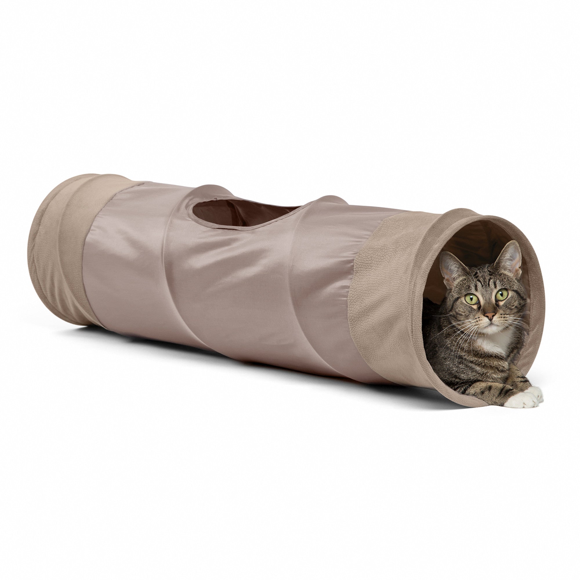 Best Friends by Sheri Cat Tunnel Ilan