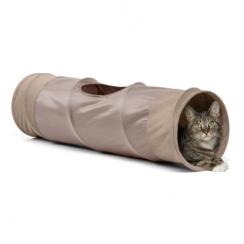 Best Friends by Sheri Cat Tunnel Ilan