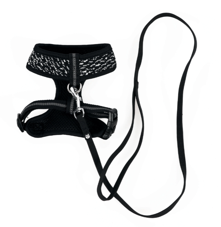 M-Pets Lets Go Cat Harness & Leash Set