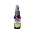 KONG Cat Treat Naturals Premium Catnip Spray