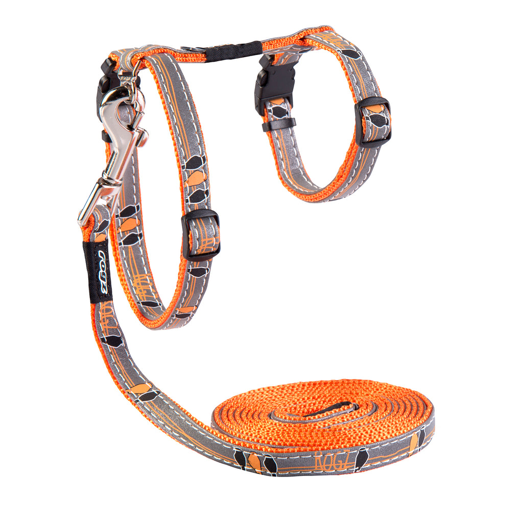 ROGZ NightCat Reflective Harness & Lead Combination