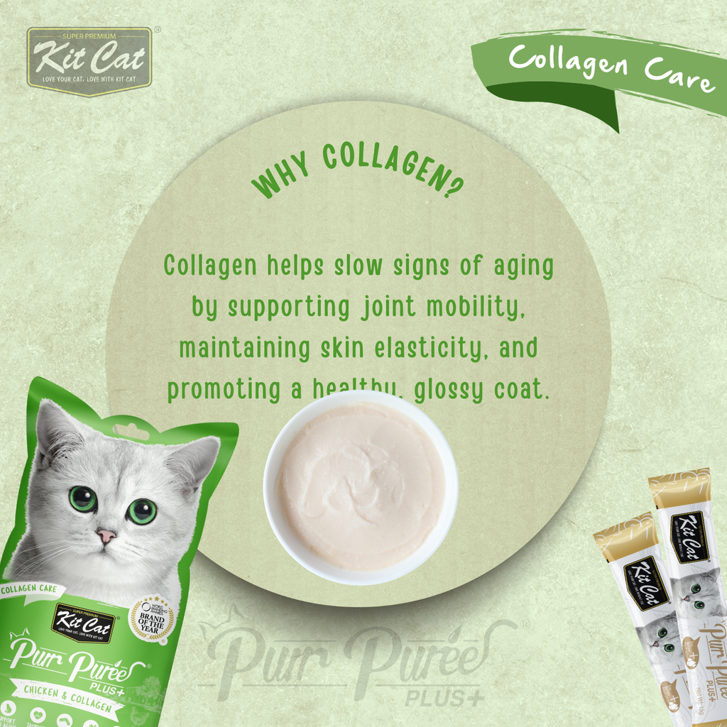 Kit Cat Purr Puree Plus+ (4 x 15g)