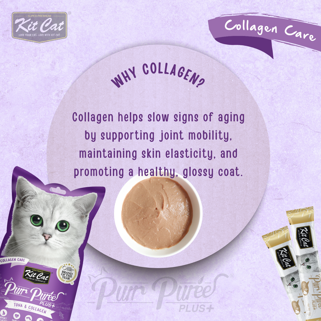 Kit Cat Purr Puree Plus+ (4 x 15g)