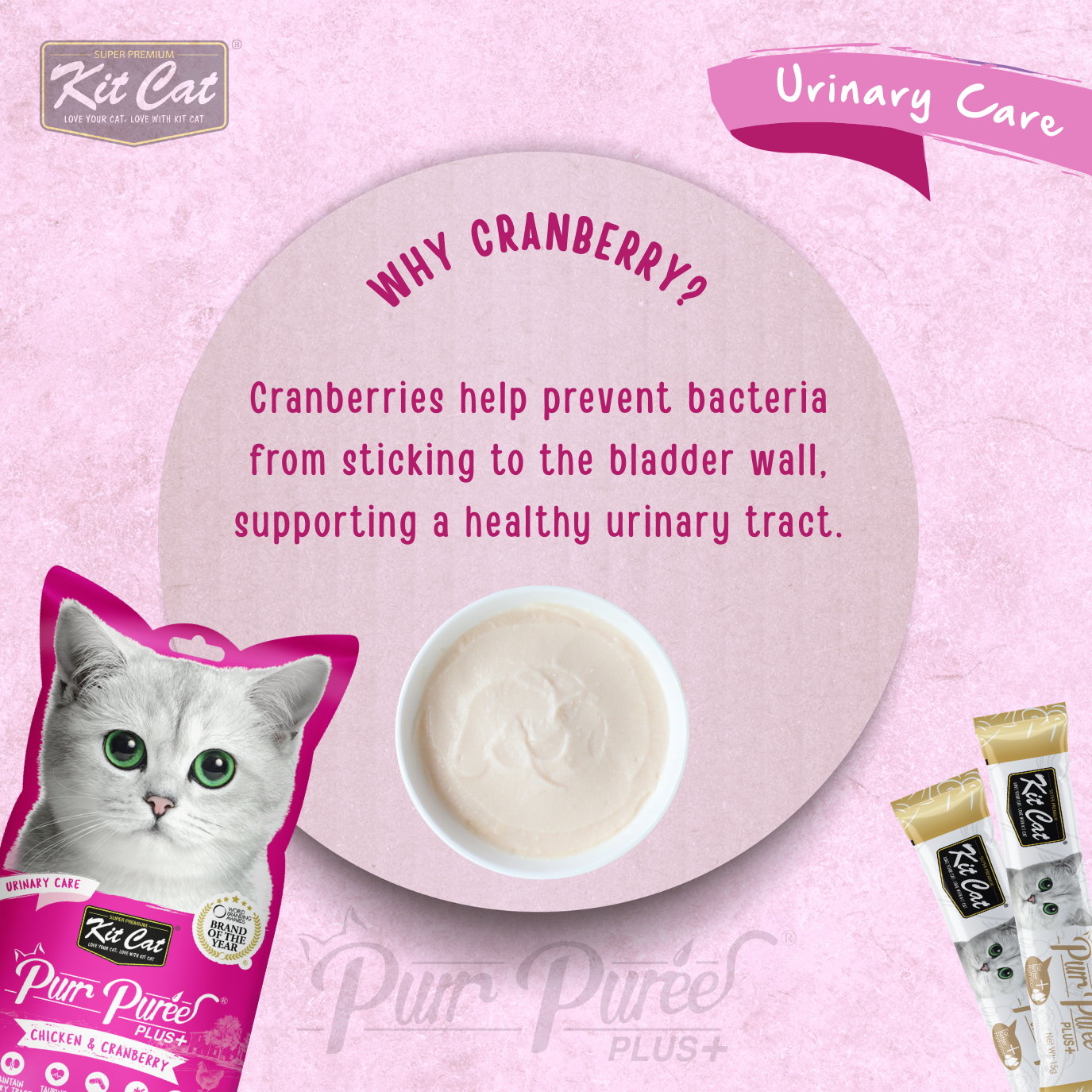 Kit Cat Purr Puree Plus+ (4 x 15g)