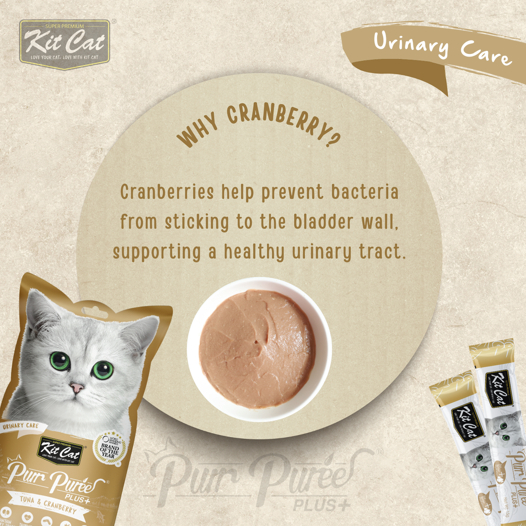 Kit Cat Purr Puree Plus+ (4 x 15g)
