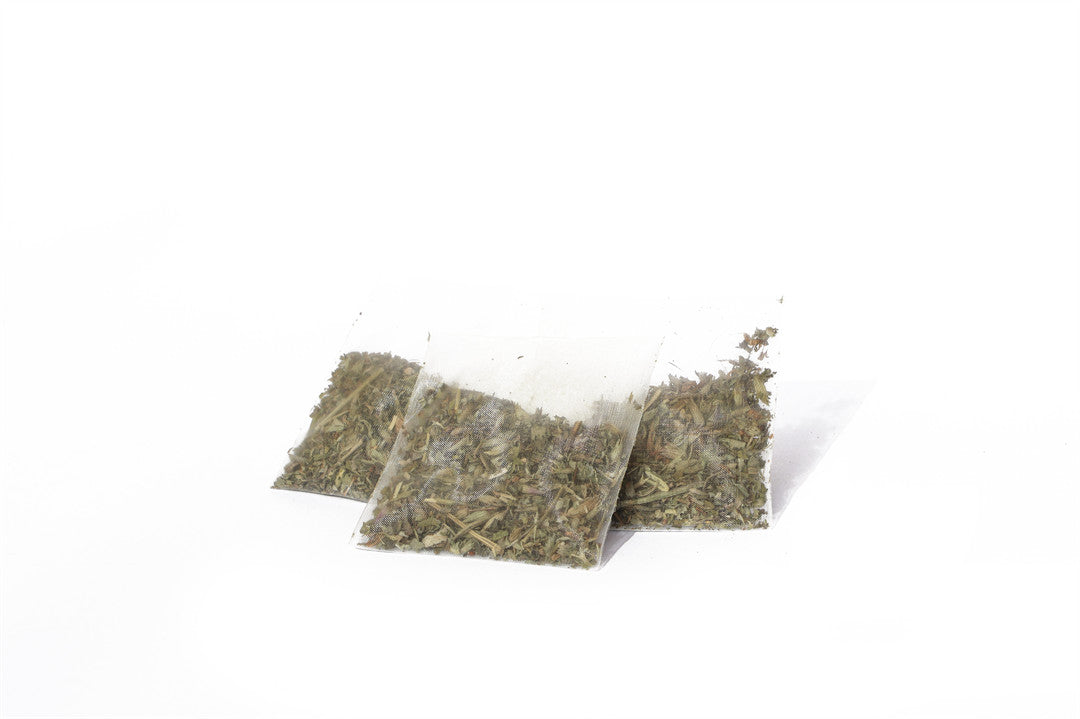 GiGwi Refillable Catnip Toy - catnip teabag refills