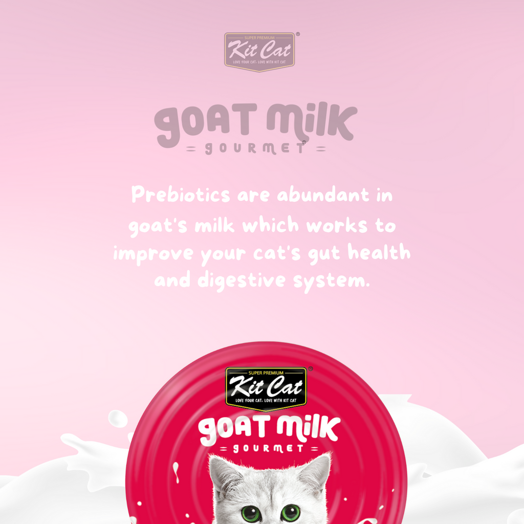 Kit Cat Boneless Chicken & Goat Milk Gourmet (70g)