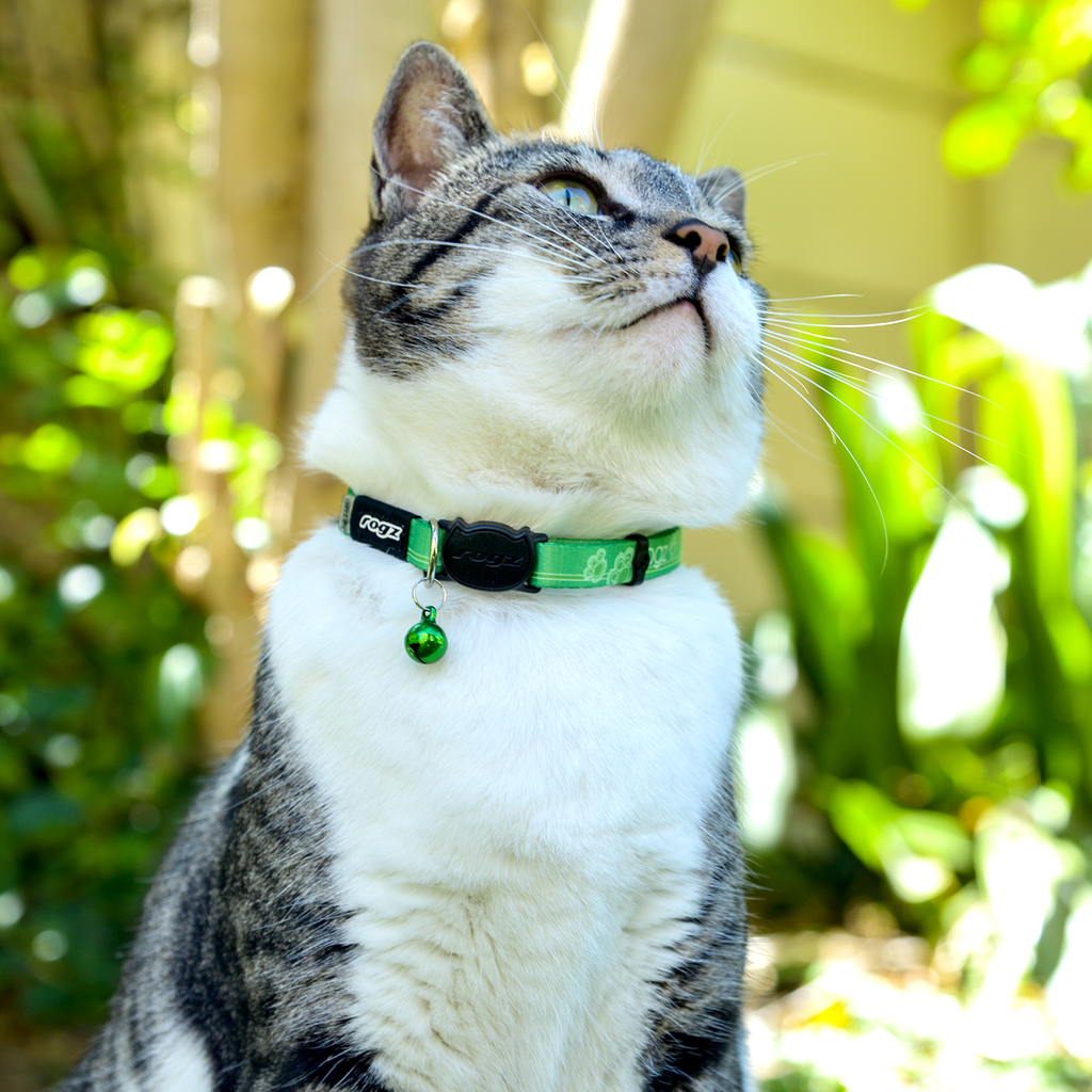 ROGZ KiddyCat Safeloc Breakaway Collar