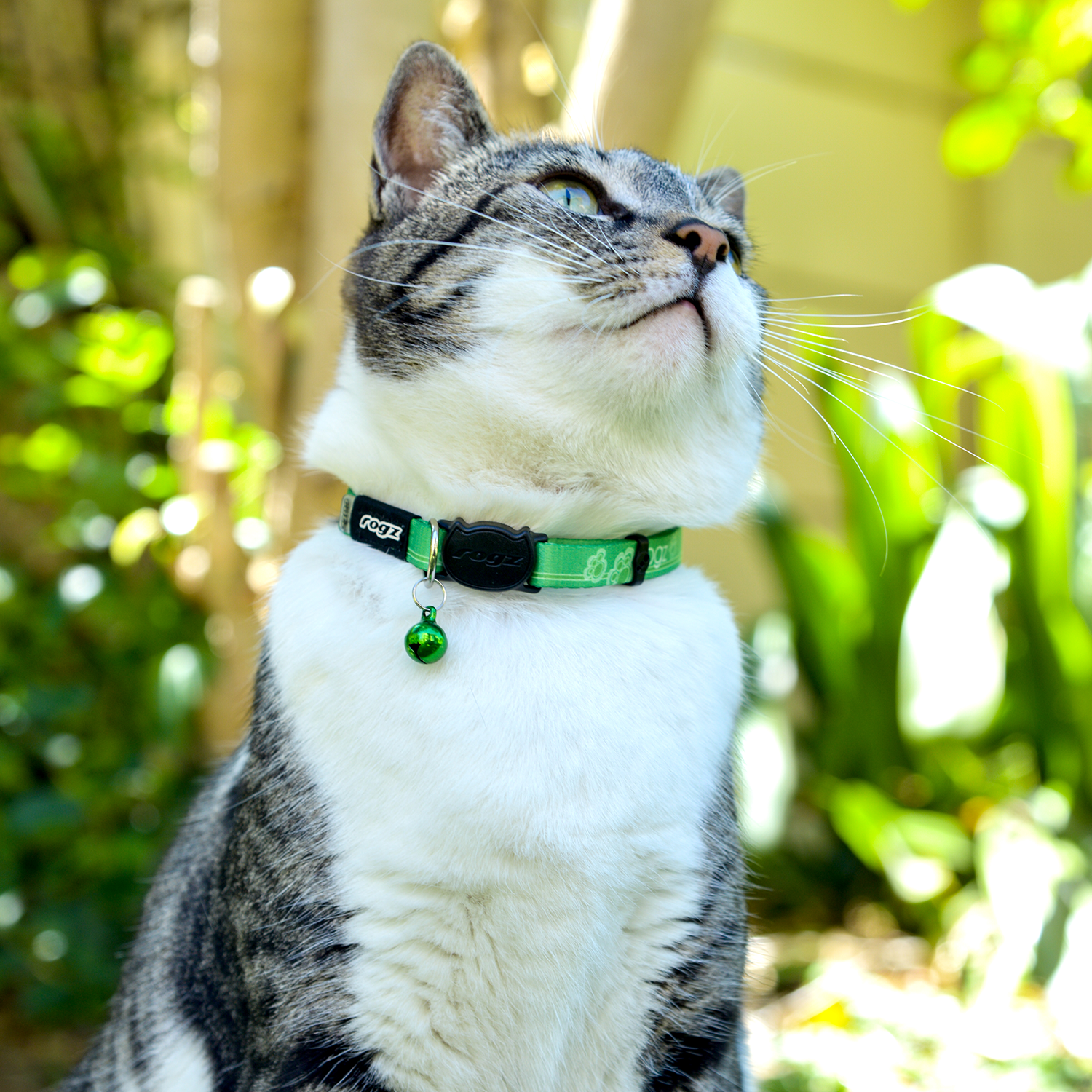 ROGZ KiddyCat Safeloc Breakaway Collar