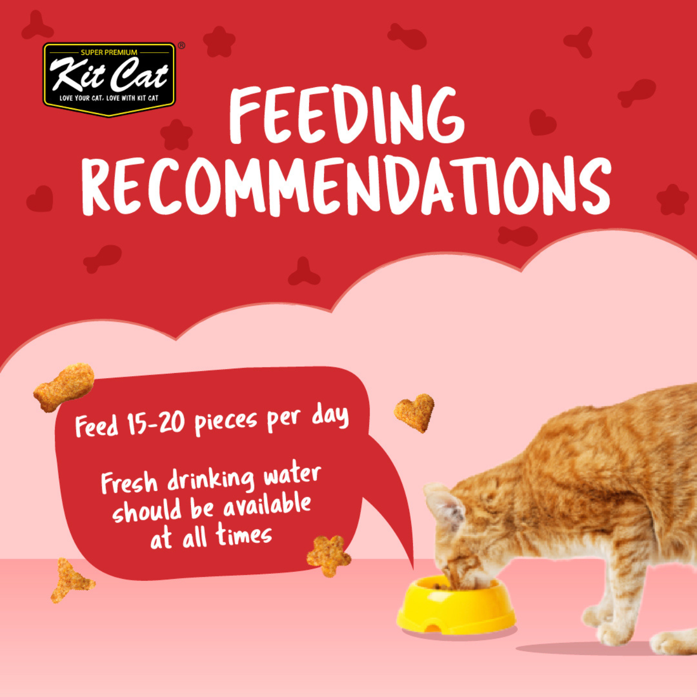 Kit Cat Kitty Crunch (60g)