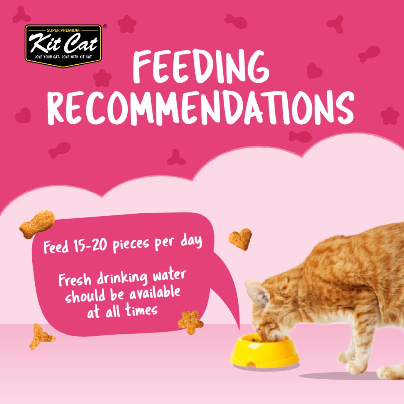 Kit Cat Kitty Crunch (60g)