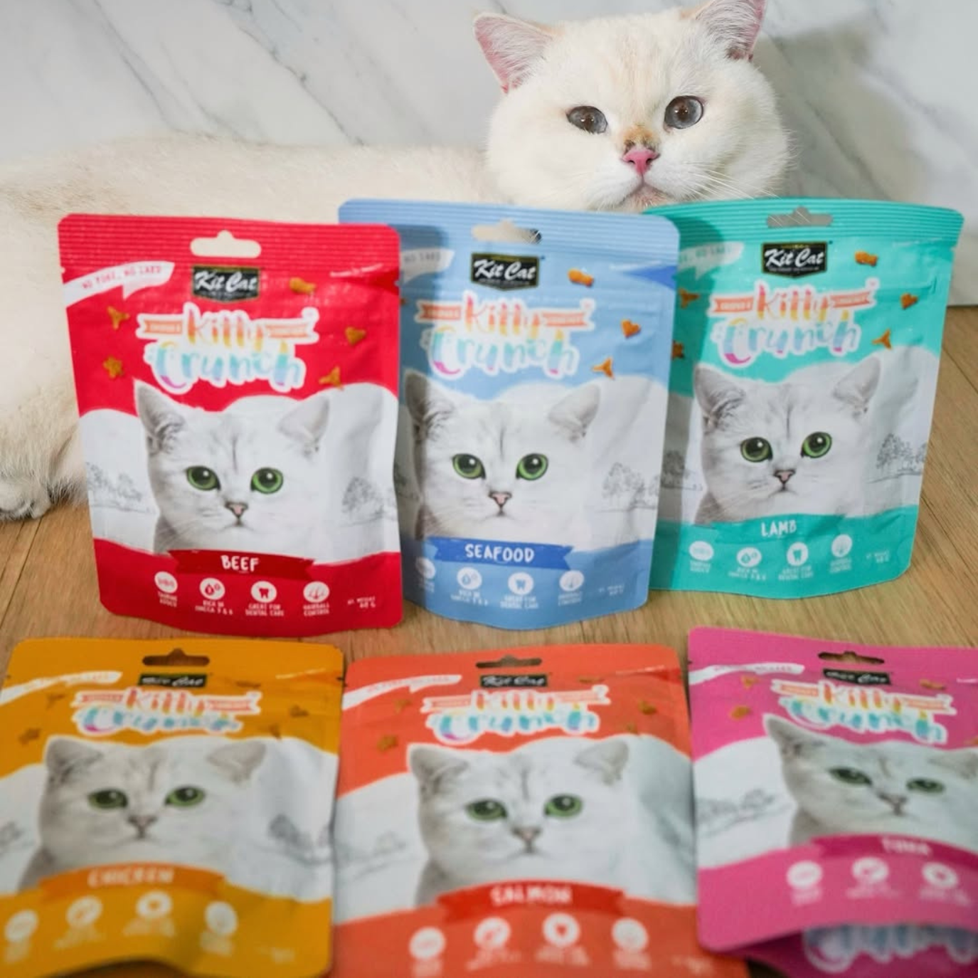 Kit Cat Kitty Crunch (60g)