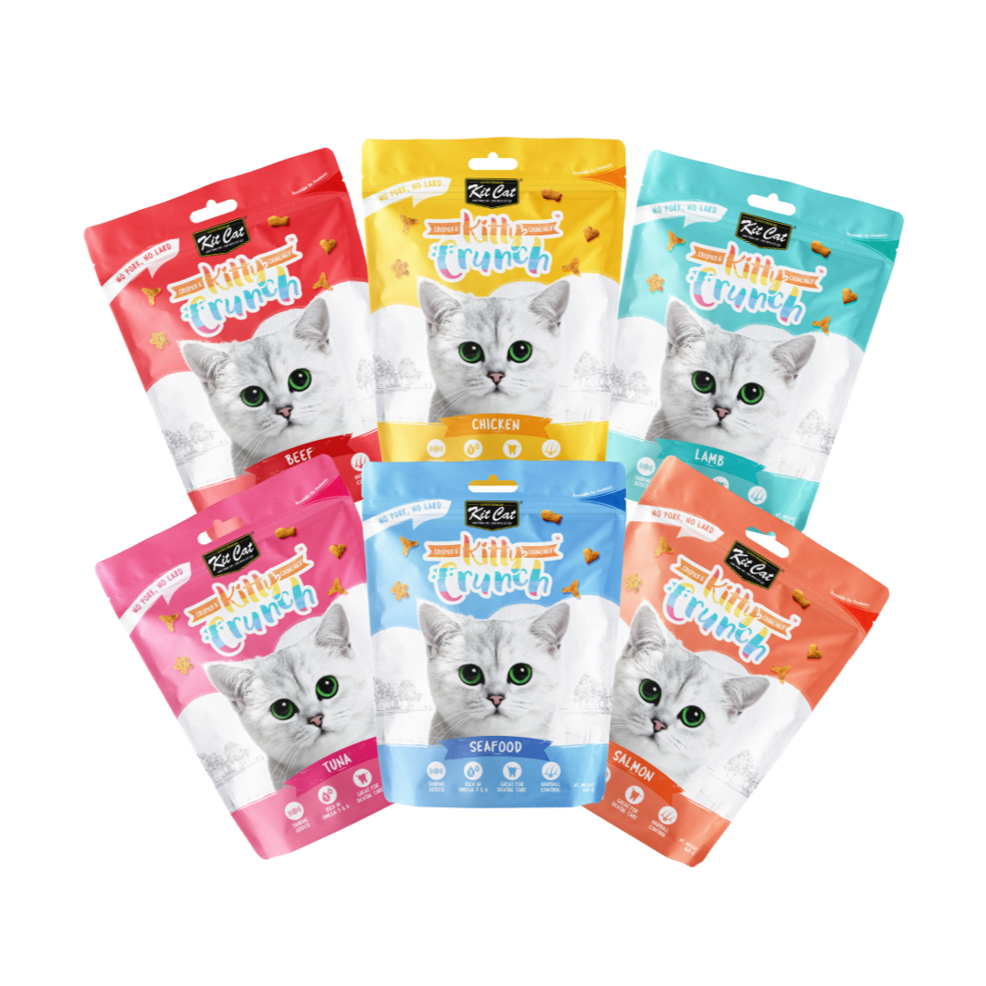 Kit Cat Kitty Crunch (60g)