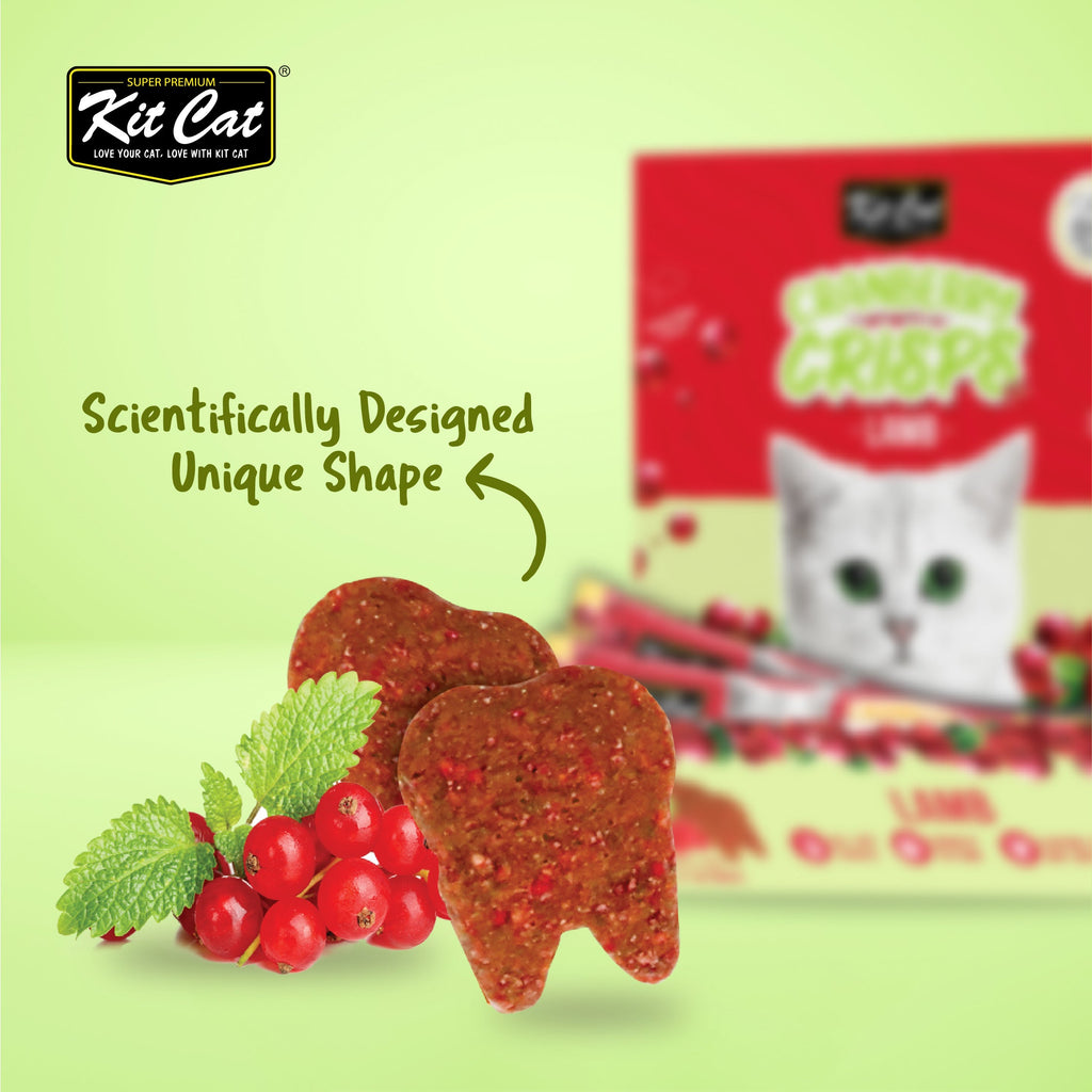 Kit Cat Cranberry Crisps (60g)