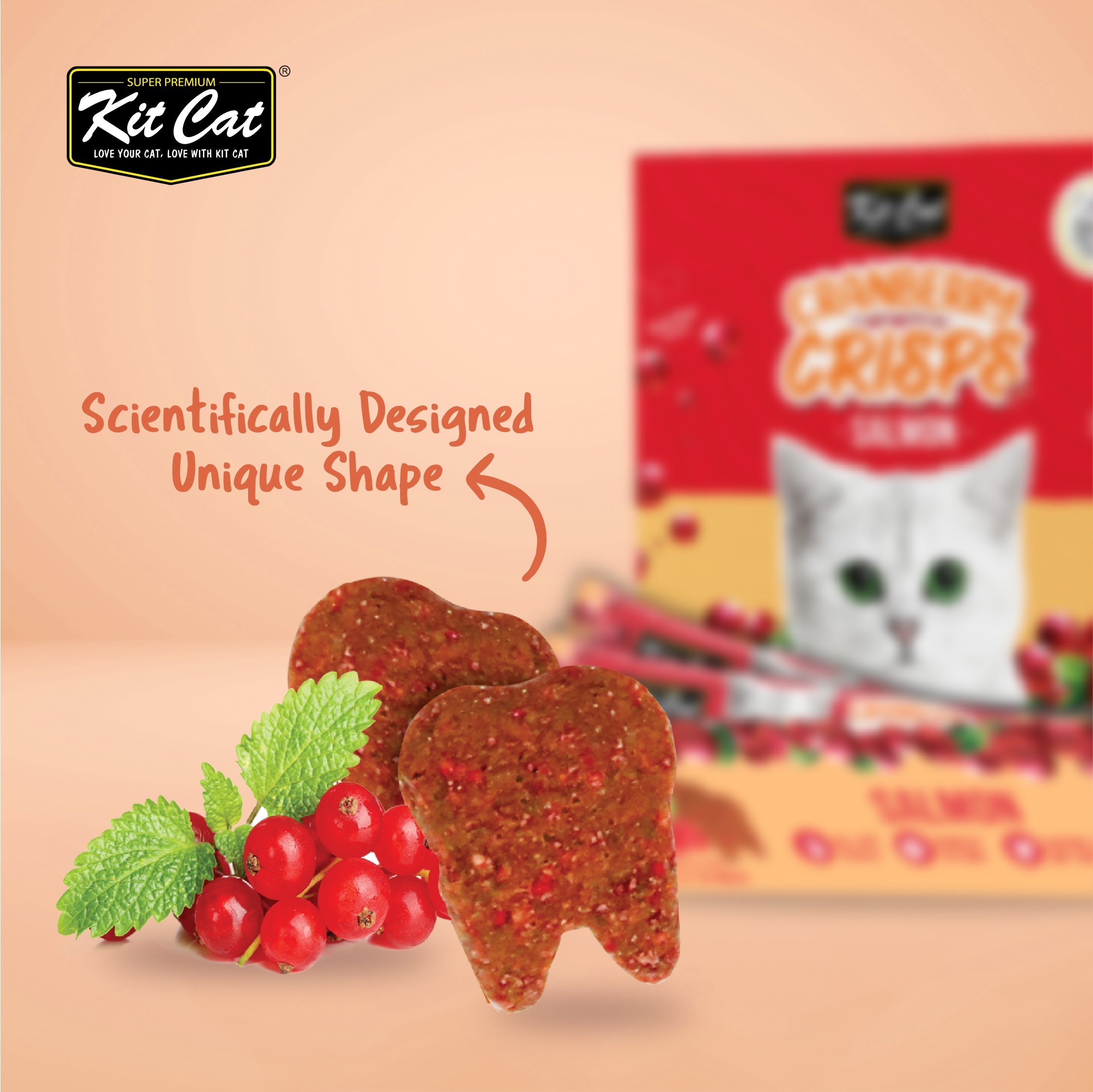 Kit Cat Cranberry Crisps (60g)