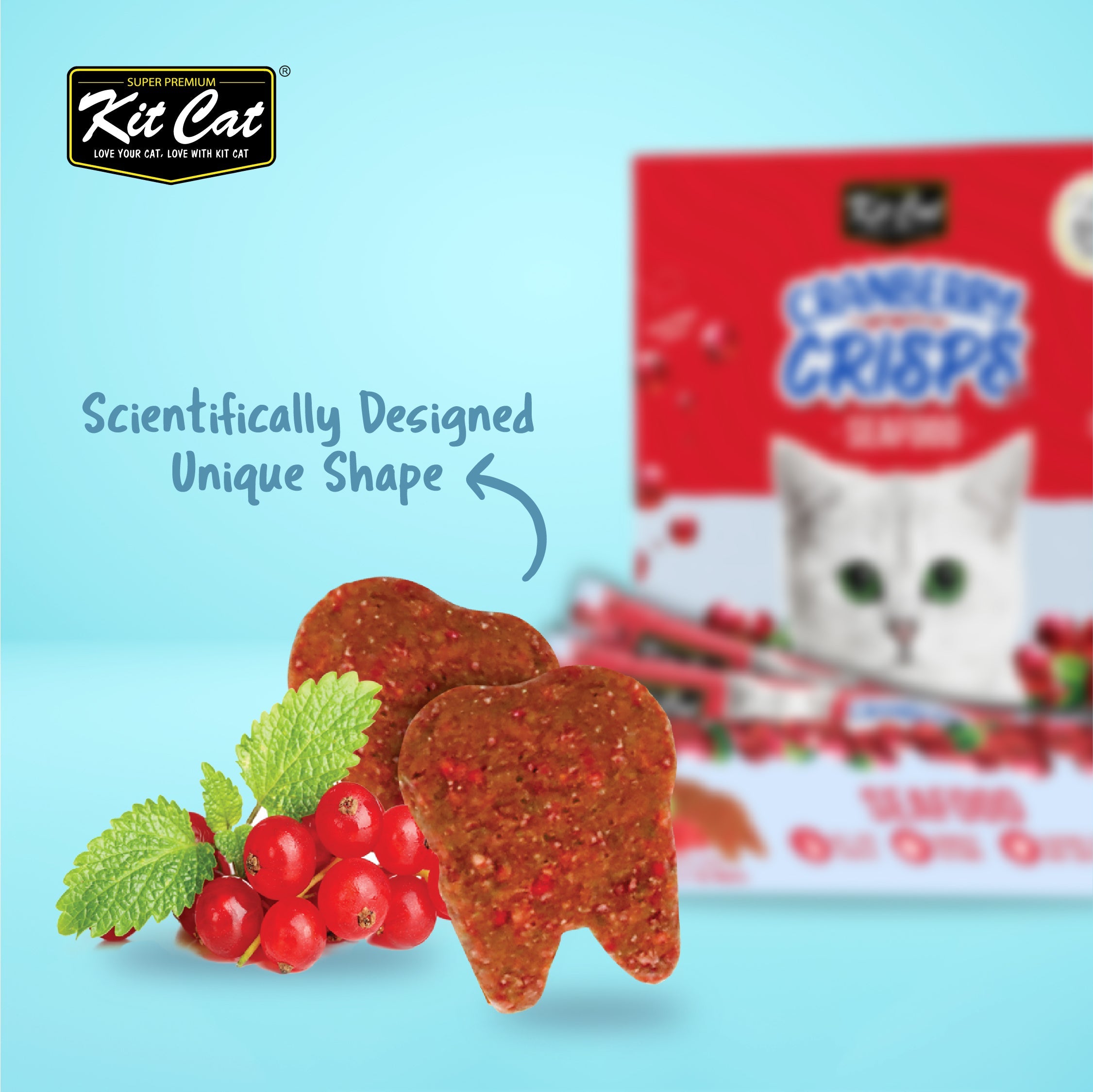 Kit Cat Cranberry Crisps (60g)