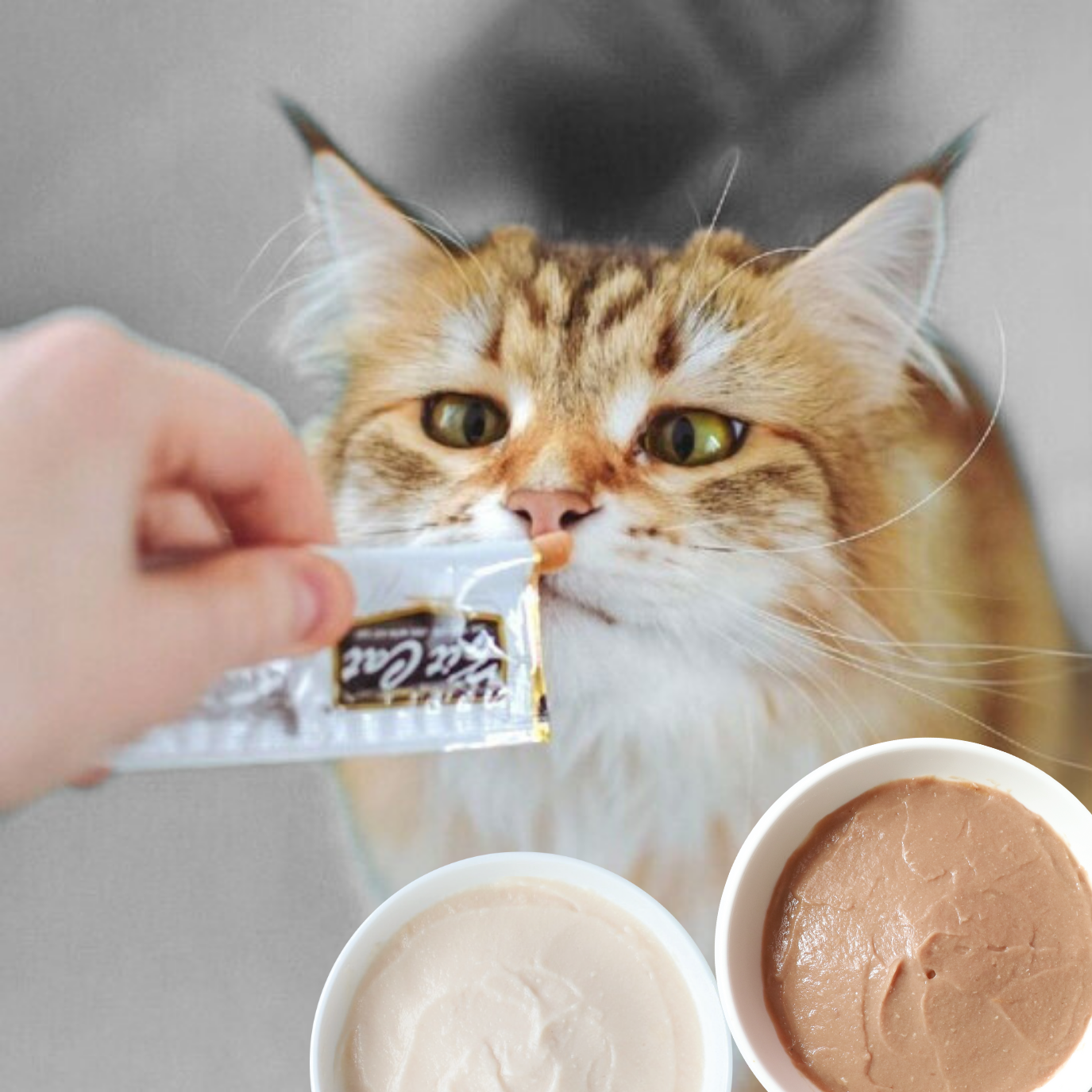 Kit Cat Purr Puree Plus+ (4 x 15g)