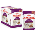 Royal Canin Sensory Smell Wet Cat Food - Gravy