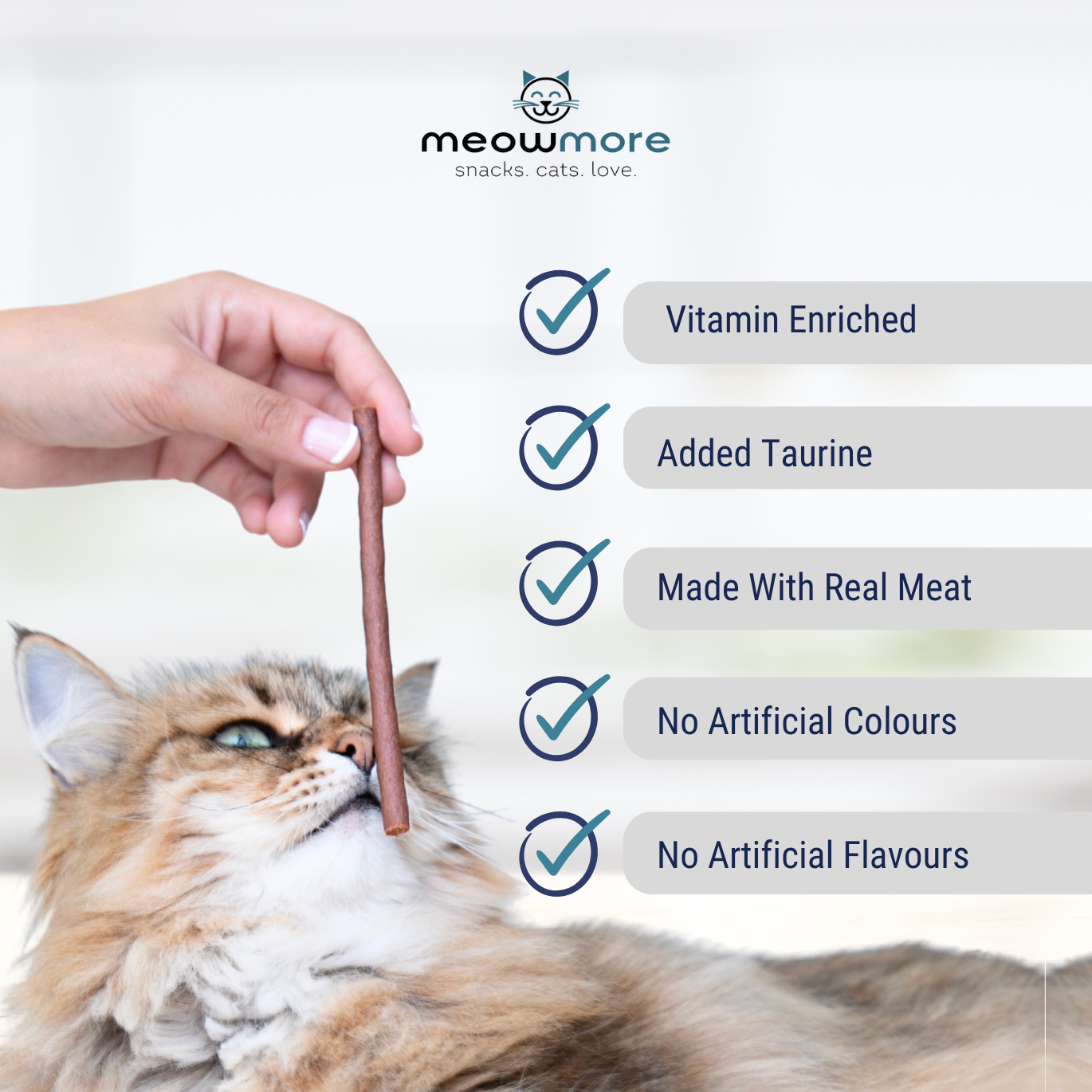 Meow More Cat Treat Sticks (15g)