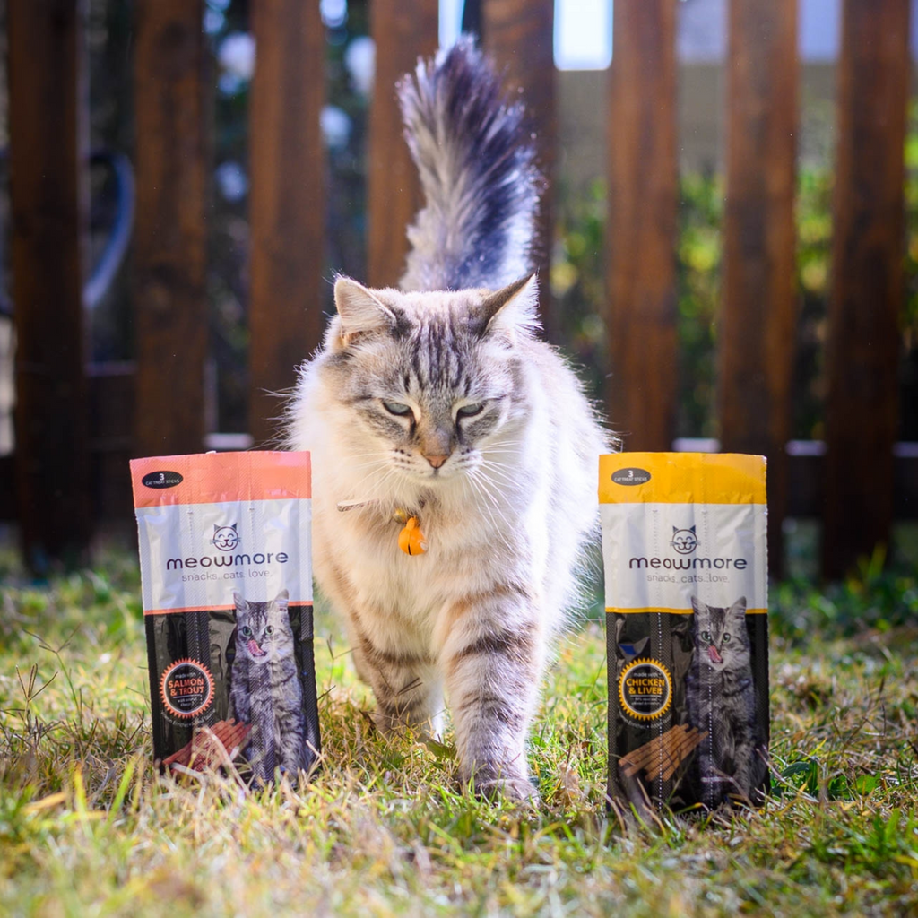 Meow More Cat Treat Sticks (15g)