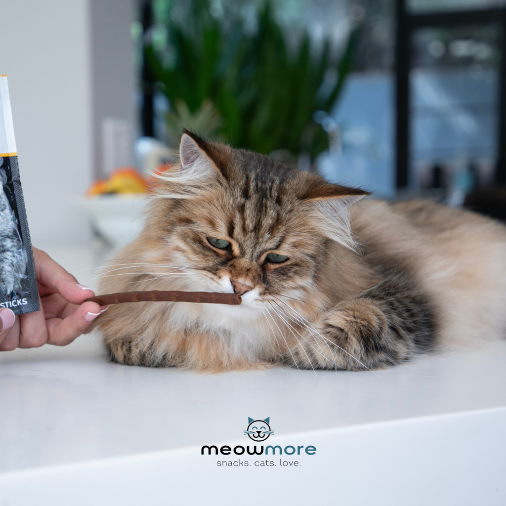 Meow More Cat Treat Sticks (15g)