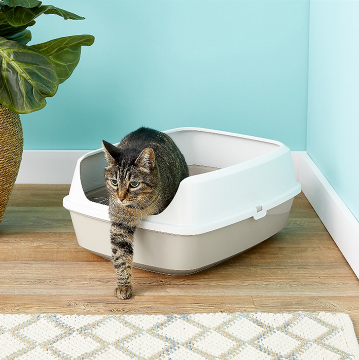 Moderna Maryloo Litter Tray with Rim Large + FREE Matching Handy Scoop