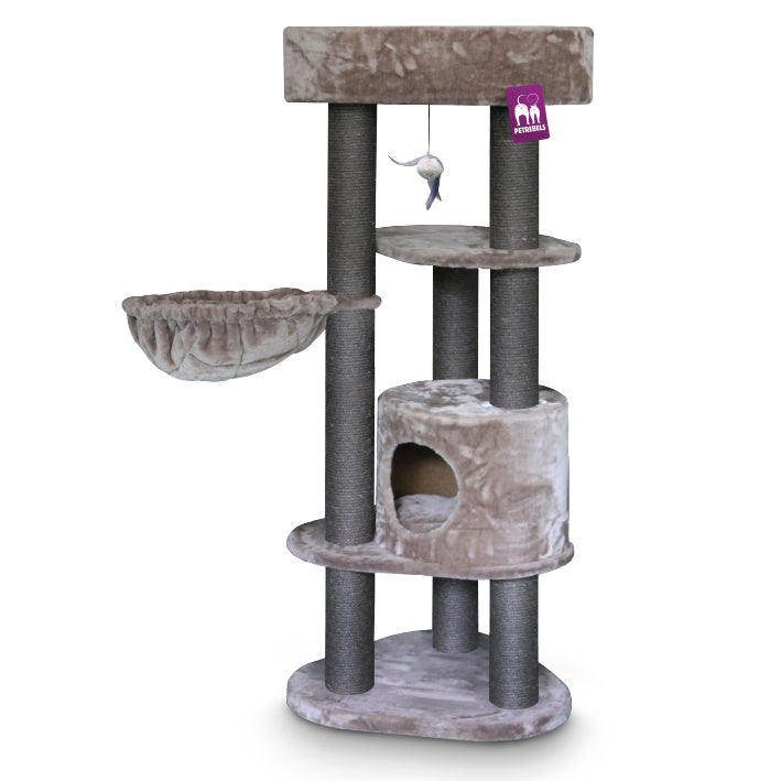Pet Rebels Charlotte 134