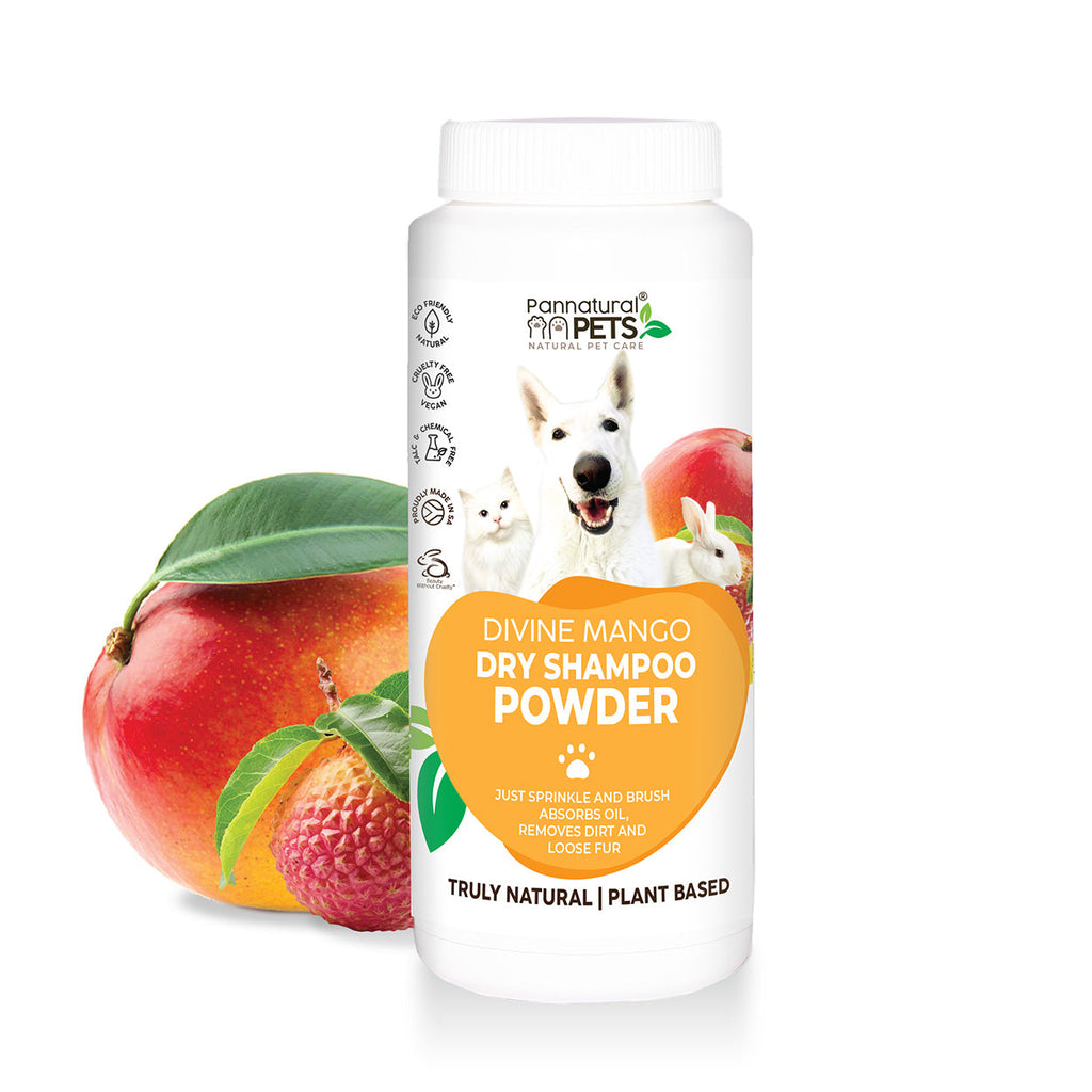 Pannatural Dry Shampoo Powder Mango