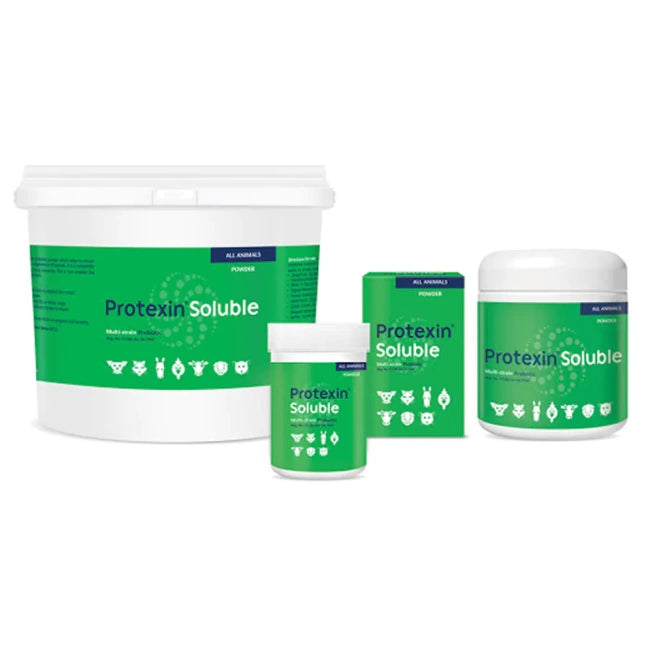 Kyron Protexin Soluble Probiotic Powder 250g