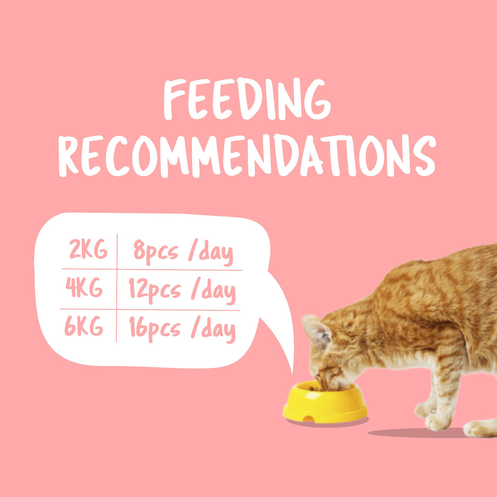 Kit Cat Purrfect Pockets (60g)