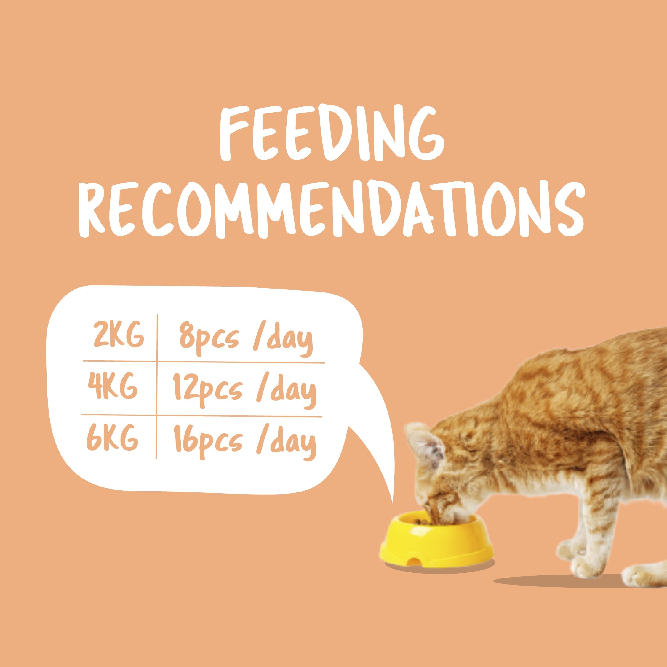 Kit Cat Purrfect Pockets (60g)
